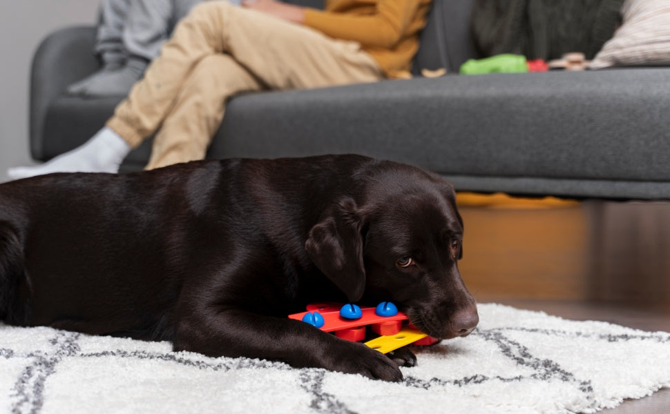 Wie man die Spielherausforderung und die Spielfähigkeiten ausbalanciert - PAWSOMETIME