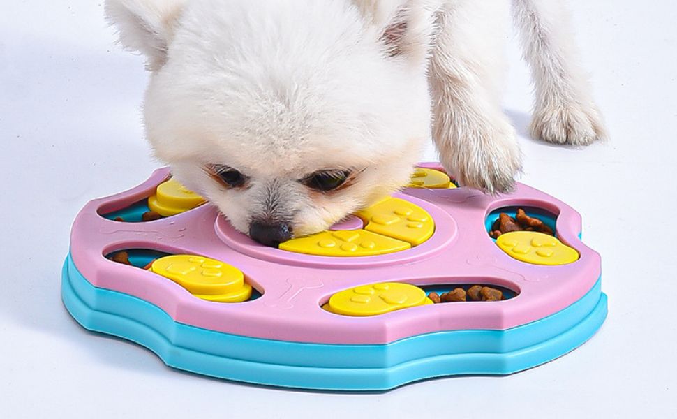 Intelligenzspielzeug für Hunde: So finden Sie den richtigen Schwierigkeitsgrad und fördern Ihren Hund Schritt für Schritt -  PAWSOMETIME