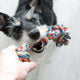 So integrieren Sie interaktives Spielzeug in den Alltag Ihres Hundes - PAWSOMETIME