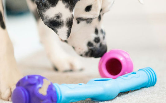 futter spielzeug für hunde - Pawsometime