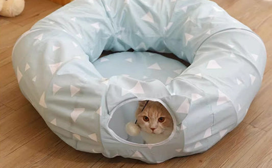 Warum Katzen Rückzugsorte brauchen: Wie sichtgeschützte Tunnel Stress reduzieren - PAWSOMETIME