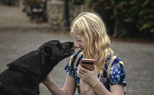 Warum leckt mein Hund mich ab? Eine Entdeckung der tiefen Verbindung zwischen Mensch und Tier