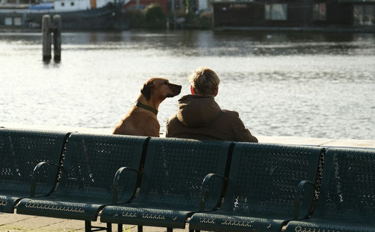 Hund und Mensch - Pawsometime