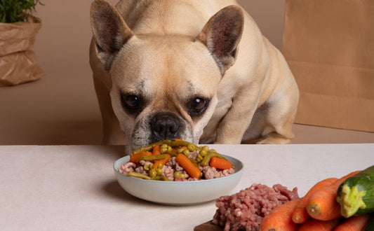 Hund und Gemüse - pawsometime