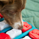 Hundespielzeug- PAWSOMETIME