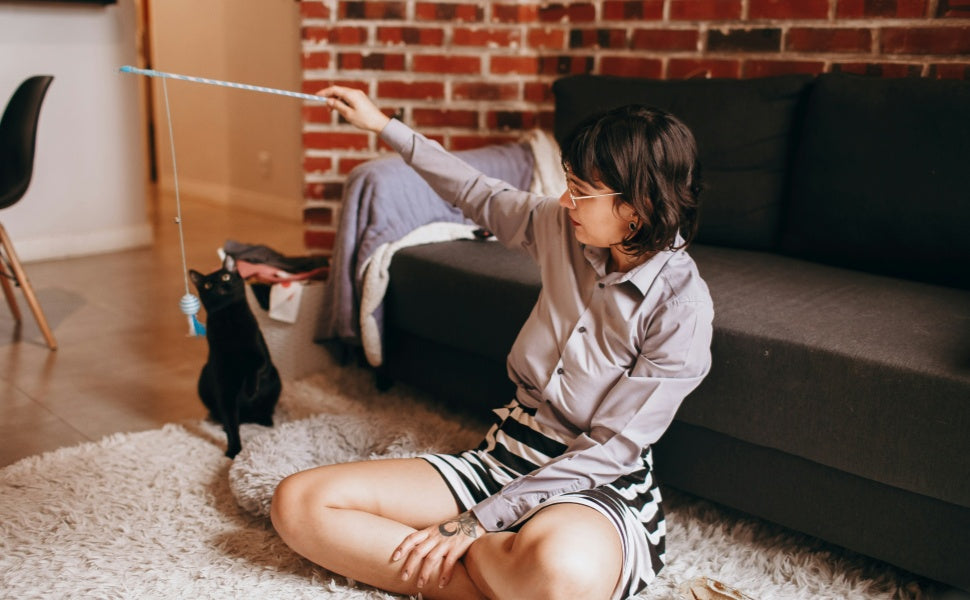 Wie Sie testen, ob neues Spielzeug bei Ihrer Katze ankommt: Ein einfacher Leitfaden - PAWSOMETIME