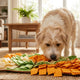 schnüffelmatte für hunde - PAWSOMETIME