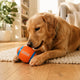 Hundeball als Intelligenzspielzeug So fördern Sie die geistige Auslastung Ihres Hundes - PAWSOMETIME