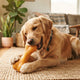Sicheres langlebiges Hundespielzeug finden Der ultimative Kau-Guide für verantwortungsvolle Halter - PAWSOMETIME