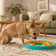 Spielzeit für kleine Hunde optimal planen - PAWSOMETIME