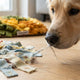 Versteckte Kosten bei billigen Schnüffelmatten für Hunde - PAWSOMETIME