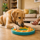 Hunde an Denkspiele und Kauspielzeug gewöhnen - PAWSOMETIME