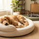 Der ultimative Komfort-Check Wie Sie das perfekte Bett auswählen - PAWSOMETIME
