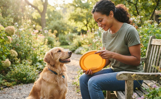 Sicherheitschecks vor dem Frisbeespiel vermeiden Verletzungen - PAWSOMETIME