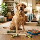 Das beste Hundespielzeug für große Hunde - PAWSOMETIME