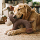 Robust oder Kuschelig? Der ultimative Guide zur Wahl des richtigen Hundekuscheltiers - PAWSOMETIME
