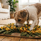 Langfristiger Wert Warum eine hochwertige Schnüffelmatte die beste Investition für Ihren Hund ist - PAWSOMETIME