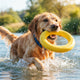 Wasserspielzeug für Hunde So wählen Sie die sichersten Spielzeuge - PAWSOMETIME