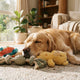 Das richtige Kuscheltier als Trainingshelfer - PAWSOMETIME