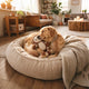 Warum Hunde an Kuscheltieren hängen und was dahintersteckt - PAWSOMETIME