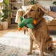 Kuscheltiere als Verhaltens-Coaches Gezielte Auswahl - PAWSOMETIME