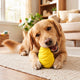Kauer-Typen bei Hunden verstehen und Spielzeug richtig wählen - PAWSOMETIME