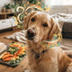 Wie Hunde denken grundlagen kognitive fähigkeiten motivation lernstile - PAWSOMETIME