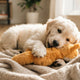 Hygiene und Pflege von Welpen-Kuscheltieren - PAWSOMETIME
