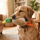 Von Beutejagd bis Nestbau Wie Kuscheltiere Instinkte befriedigen - PAWSOMETIME