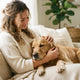 So erkennen Sie ob Ihr Hund emotionalen Trost braucht - PAWSOMETIME