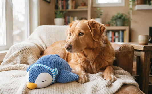 Stress bei Hunden und Kuscheltiere als Beruhigungshilfe - PAWSOMETIME