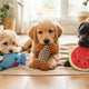 Welches Welpen Kuscheltier passt zu meiner Hunderasse - PAWSOMETIME