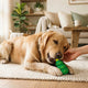Spielzeug wählen für Ruhe und Gesundheit im Zuhause - PAWSOMETIME