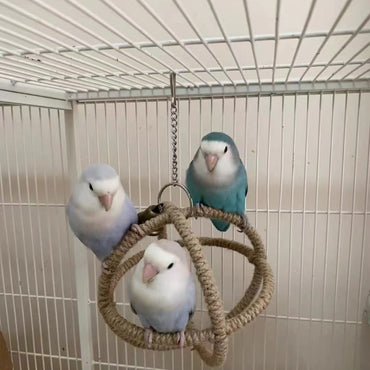 Spielzeug für Wellensittiche, Linglong Ball Aufhängering Kauspielzeug, Groß, mittel und klein, aus Hanfseil mit Glocke