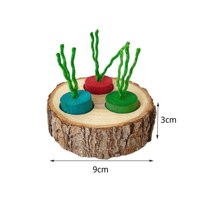 Meerschweinchen Spielzeug, Interaktives Futterspielzeug für Meerschweinchen, Hamster und andere Kleintiere, Zahnpflege und zur Beschäftigung (1 Stück)