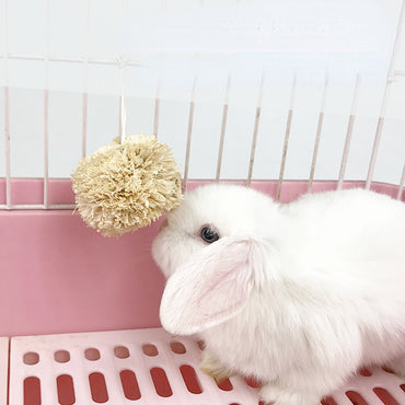 Kaninchen Spielzeug, 7cm Ball aus Maisblättern, Hängende Beißballspielzeuge, für Meerschweinchen Chinchilla (2 Stücke)