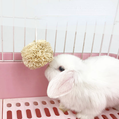 Kaninchen Spielzeug, 7cm Ball aus Maisblättern, Hängende Beißballspielzeuge, für Meerschweinchen Chinchilla (2 Stücke)