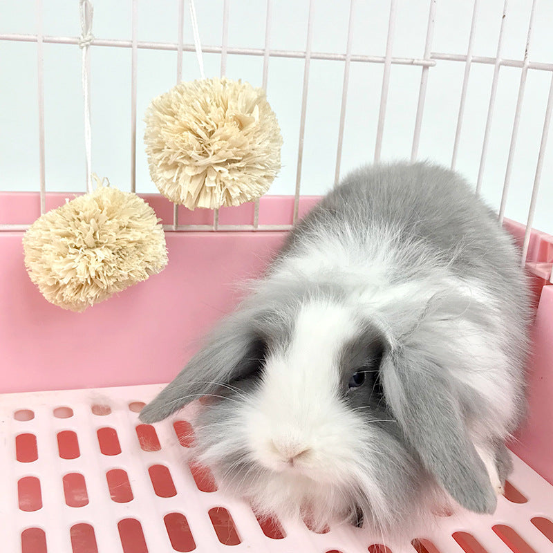 Kaninchen Spielzeug, 7cm Ball aus Maisblättern, Hängende Beißballspielzeuge, für Meerschweinchen Chinchilla (2 Stücke)