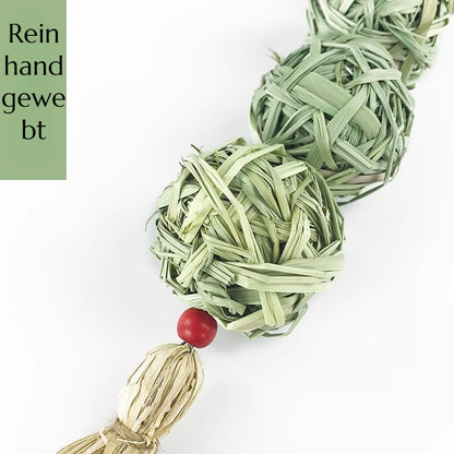 Kaninchen Spielzeug, Hängende Grasball für Kaninchen, Robustes und Kauresistentes Spielzeug aus Wassergras, Laternenschnurform