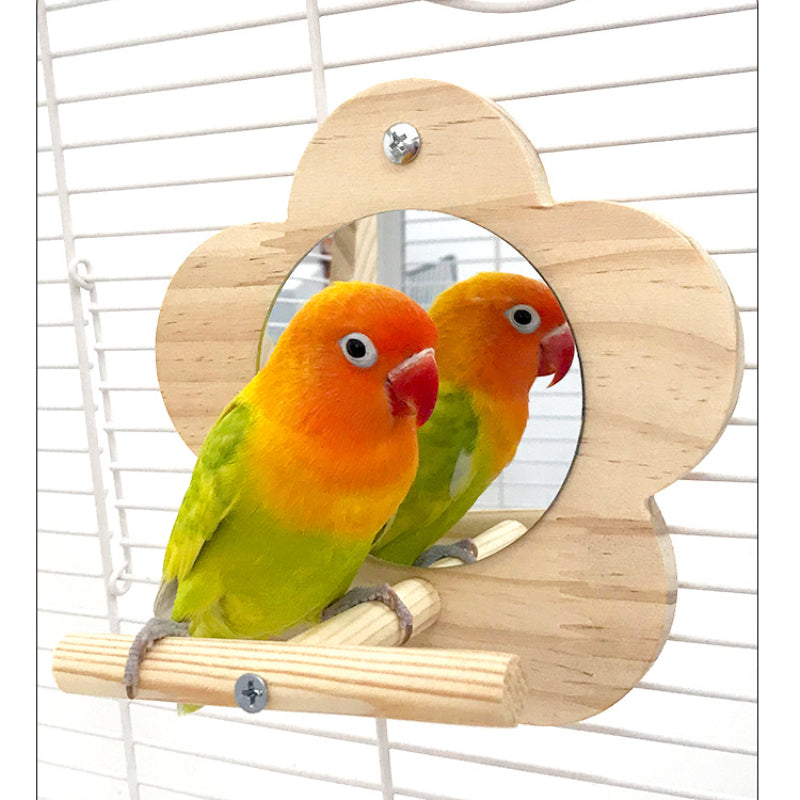Wellensittich Spielzeug, Holz Blumenförmiges Spiegelspielzeug mit Stehplatz, Papageienliebling, ideal Käfigdekoration