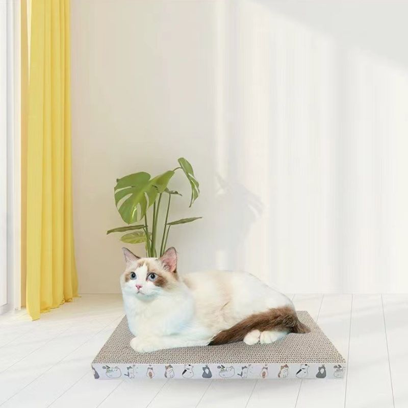 Kratzbrett aus Pappe für Katzen, Wellpappe Katzen Kratzspielzeug, Kratzunterlage in Quadrat oder Rechteck
