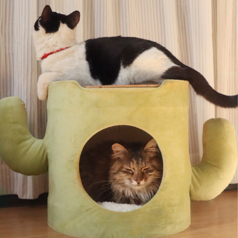 Katzenhöhlen, Halboffene Höhle als Katzenbett, Design im Aussehen eines Kaktus, Robustes Material, 60 x 36 x 35 cm