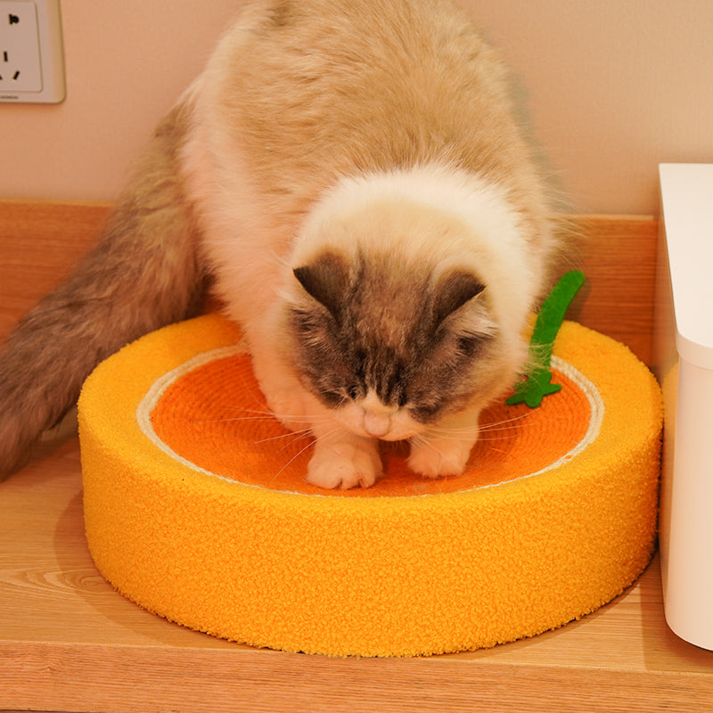 Kratzbrett Katze mit integriertem Katzenbett, hochwertigem Sisal-Material, Orange-Thema, perfekt zum Austoben für Katzen