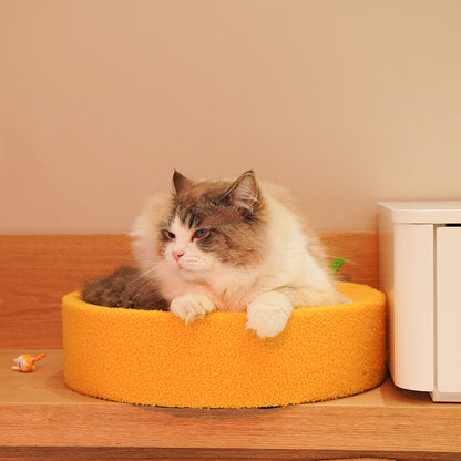 Kratzbrett Katze mit integriertem Katzenbett, hochwertigem Sisal-Material, Orange-Thema, perfekt zum Austoben für Katzen