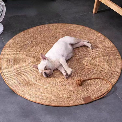 Kratzbrett für Katzen, Katzenbett Rattan Katzenschlafmatte, Krallenschleifen Verschleißfest, Vier Größen