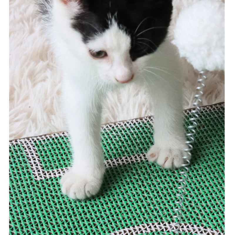 Kratzbrett Katze, Fußballplatz Katzenkratzbrett mit Selbstspielball, langlebig, Umweltfreundlich, für Spiel und Entspannung