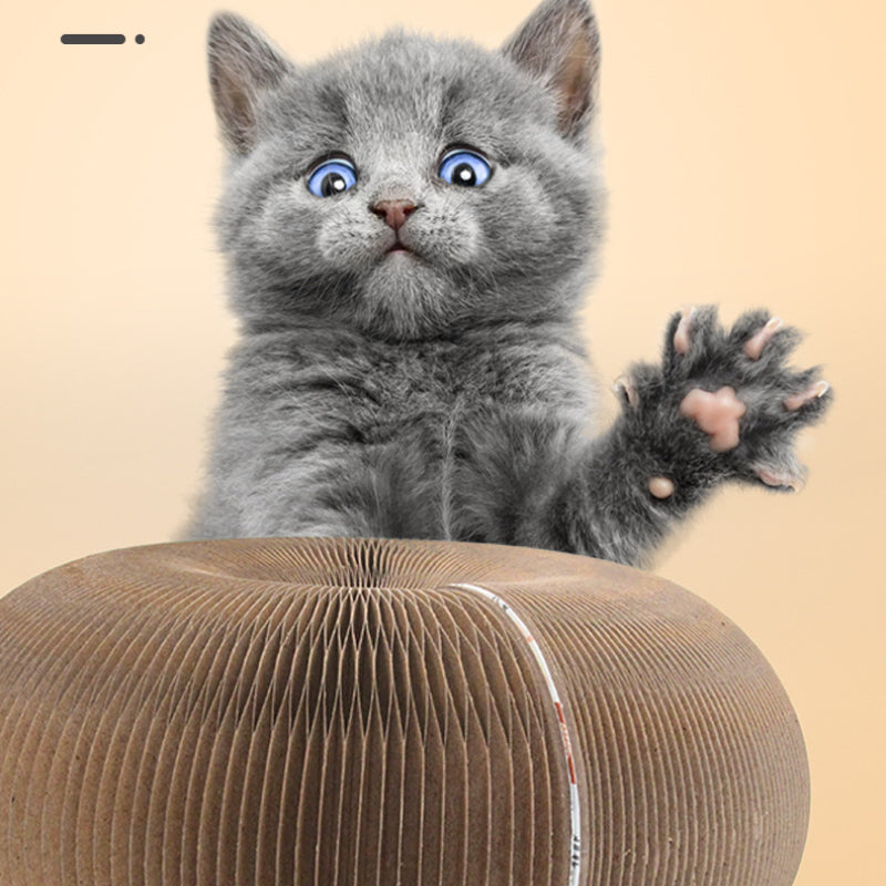 Katzen Kratzpappe, Interessant Faltbar Katzenkratzbrett, Umweltfreundliche Wellpappe mit Glockenball, für Entspannen & Spielen