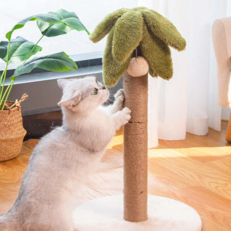 Kratzbaum für Katzen im Kokospalmen-Design, Platzsparend, mit Sisal-Kratzsäule und Spielball, Ideal für kleine Wohnungen