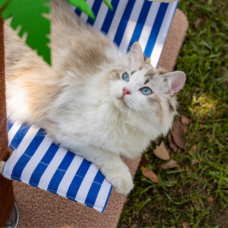 Katzenbaum Modern mit Kokosnussbaum-Design und Hängematte, Tropischen Insel-Stil, Gesunde und glückliche Krallenpflege