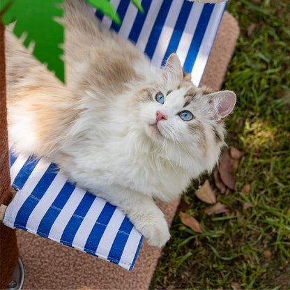 Katzenbaum Modern mit Kokosnussbaum-Design und Hängematte, Tropischen Insel-Stil, Gesunde und glückliche Krallenpflege